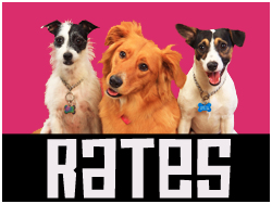 dog rates